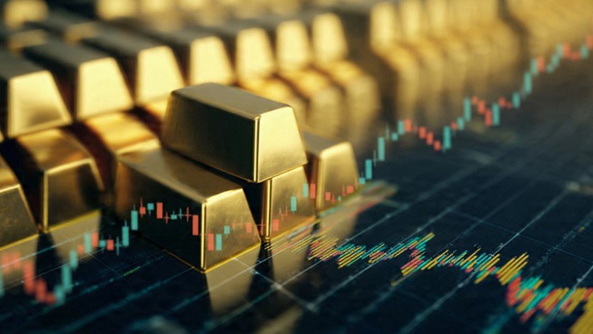 The Profit News